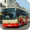 Brighton & Hove Coaches